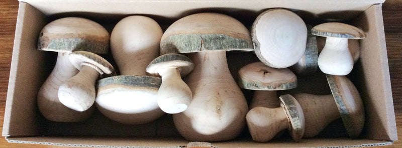 Wooden Mushrooms in wood