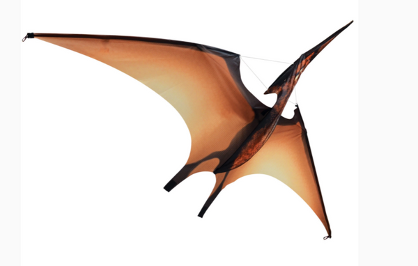 Jurassic Kites - Pterdactyl Kite