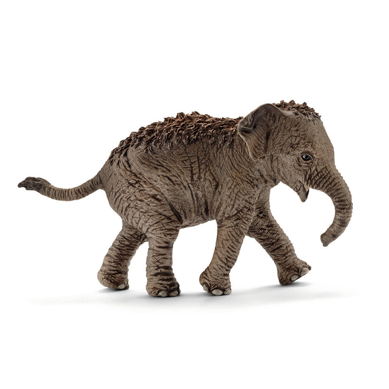 Schleich - Asian Elephant Calf