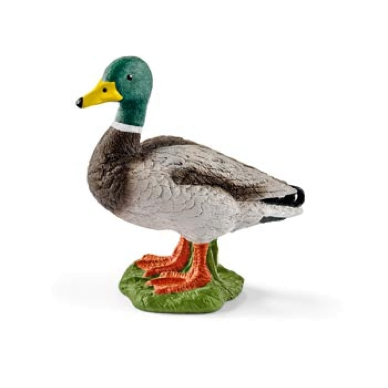 Schleich - Drake