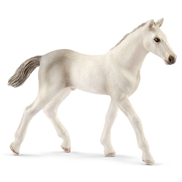 Schleich - Holsteiner Foal