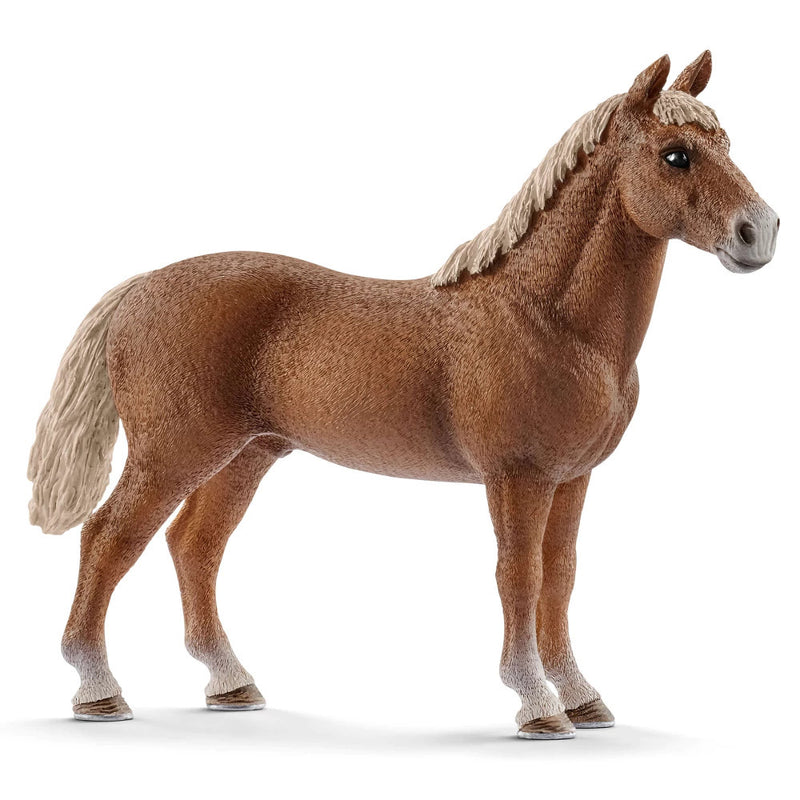 Schleich - Morgan Horse Stallion