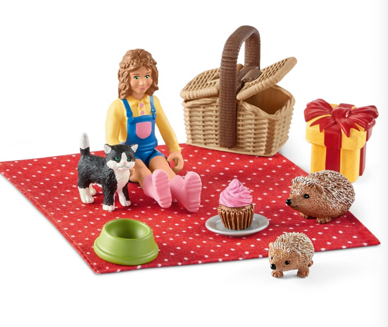 Sarah's birthday picnic !