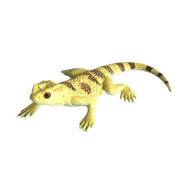 Science and Nature - Yellow Bearded Dragon