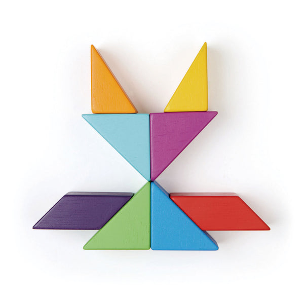 Tender leaf Toys Magblocs