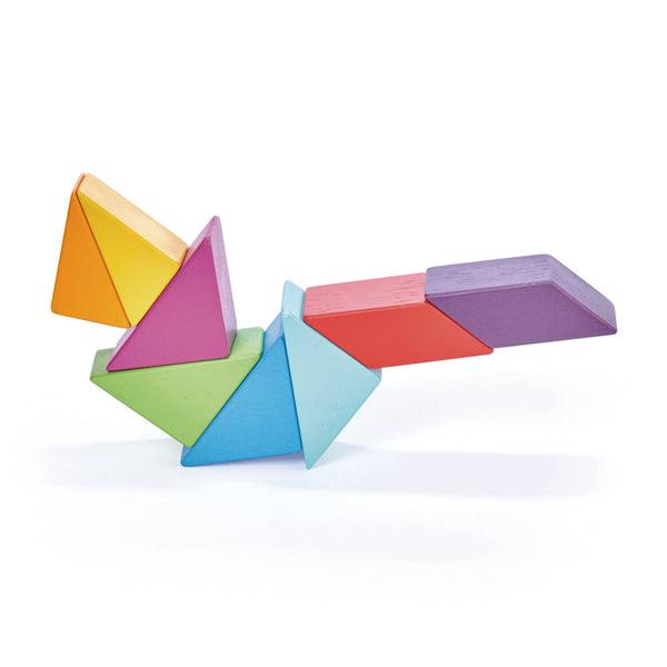 Tender leaf Toys Magblocs