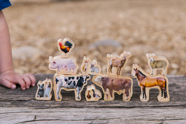 The Freckled Frog Farm Animals