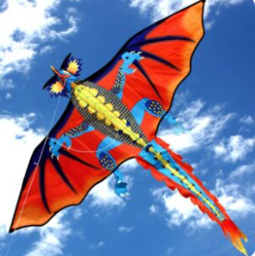 Windspeed Kites -Fire Dragon