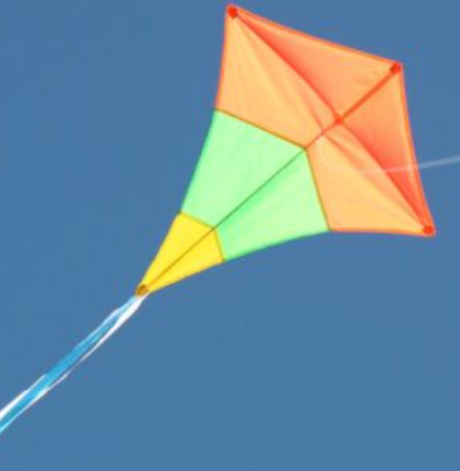 Windspeed Kites - Diamond Tricolour