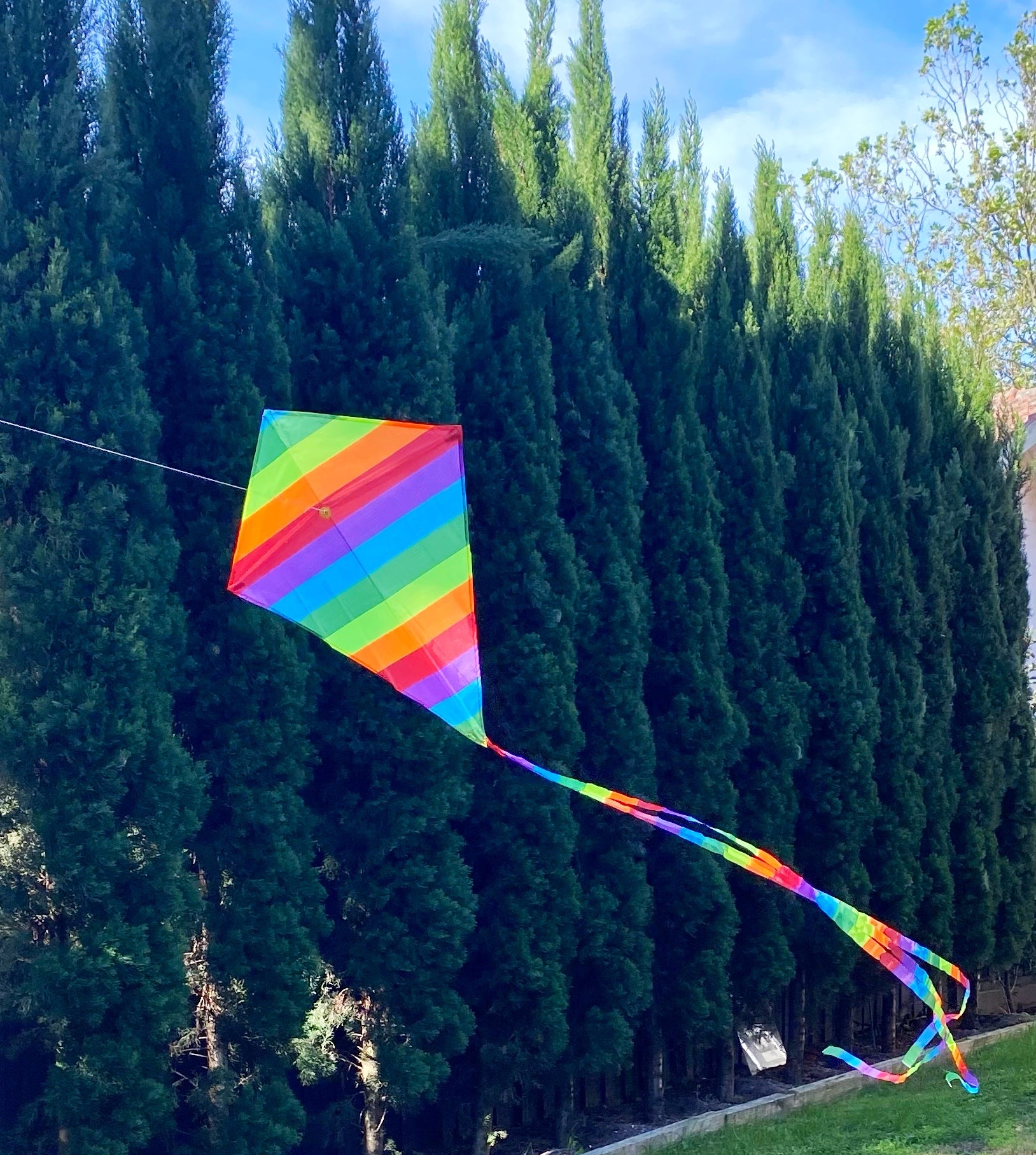 Windspeed Kites - Rainbow Diamond – Childplay Melbourne