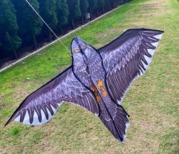 Windspeed Kites  - Eagle