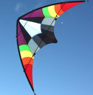 Windspeed Kites - Ikon Sports Kite