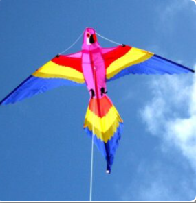 Windspeed Kites  - Lorikeet