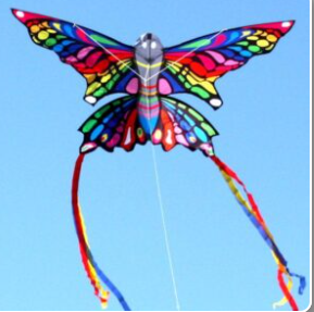 Windspeed Kites  - Rainbow Butterfly