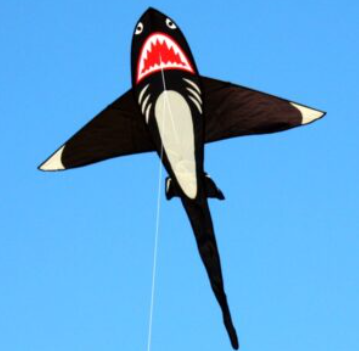 Windspeed Kites  - Shark!