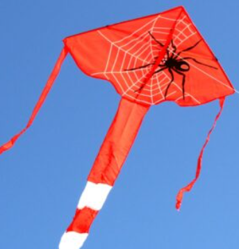 Windspeed Kites -Spider Delta