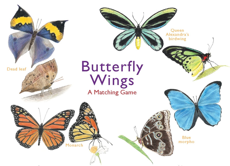 Butterfly Wings - A Matching Game