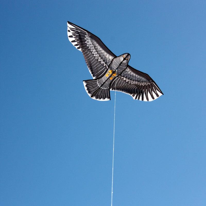 an eagle kite in the sky from childplay melbourne toy shop