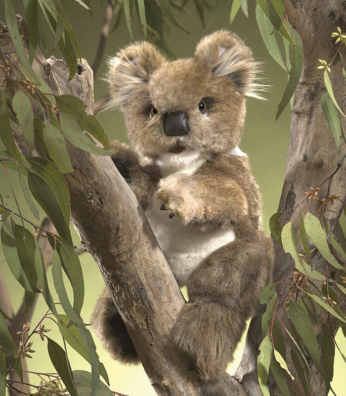 Folkmanis - Koala Hand Puppet
