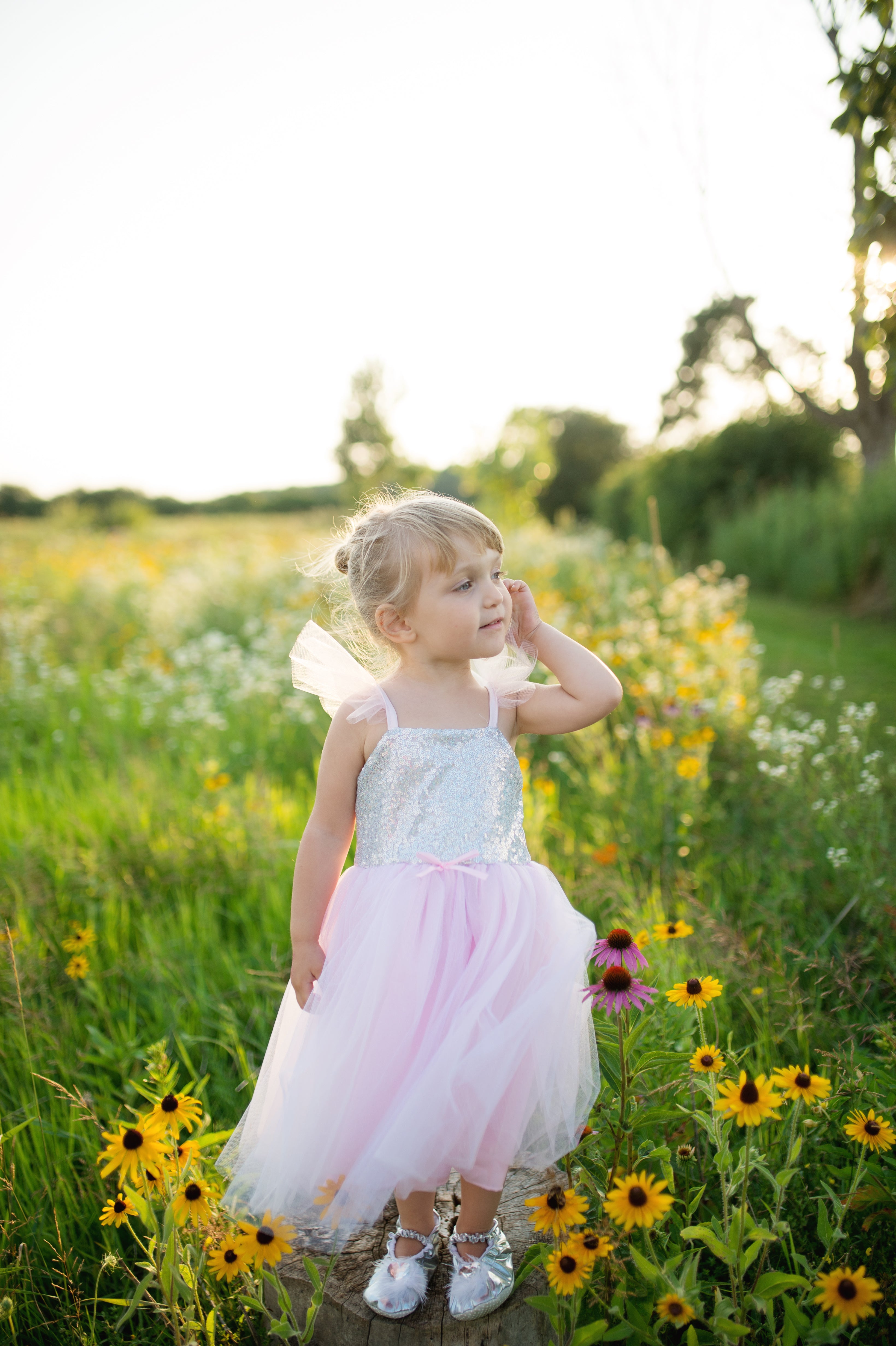Great Pretenders Pink Rose Princess Dress