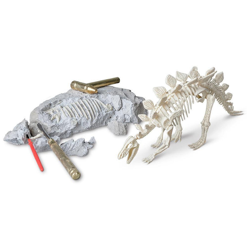 heebie jeebies palaeontology research kit for stem and steam learning for children
