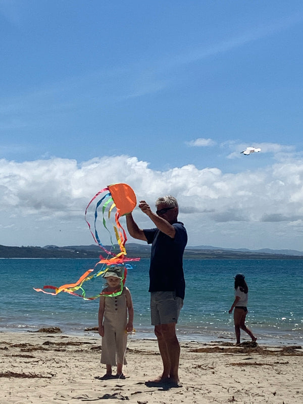 Windspeed Kites  - Jellyfish