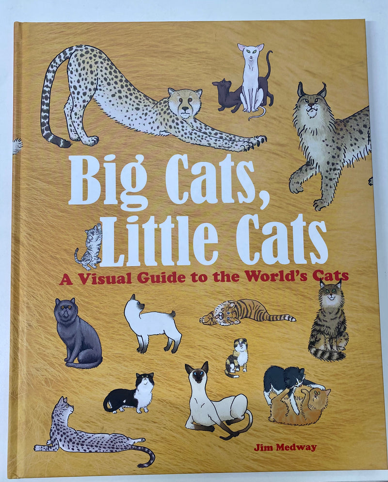 Book - Big Cats, Little Cats