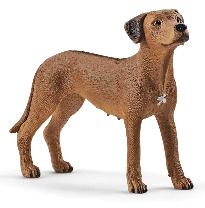 Rhodesian Ridgebacks are popular family dogs due to their even-tempered and loyal nature. Size height 5 cm,  length 7 cm , width 2 cm Recommended age 3 - 8 years