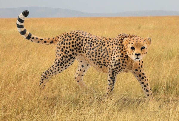 Schleich Wild Life  - Cheetah Female