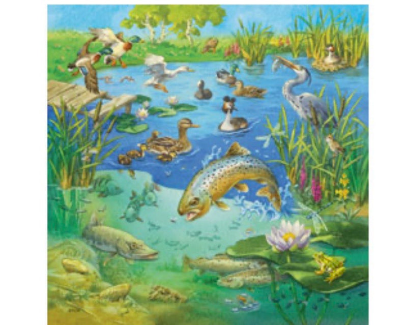 Ravensburger - Jigsaw Puzzle, 3 x49 Pieces, Animals in Their Habitats