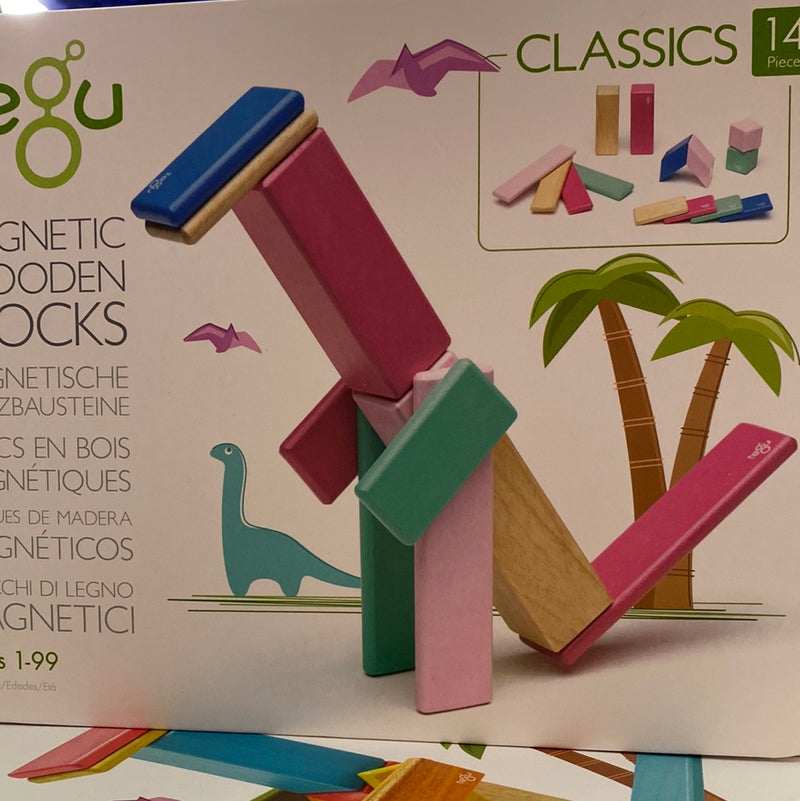Tegu Magnetic Wooden Blocks 14 piece Blossom