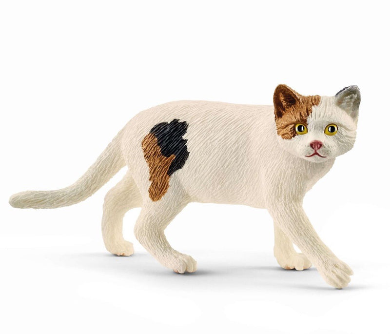 Schleich American Shorthair Cat is a popular cat for imaginative play. Recommneded for ages 3-8 years