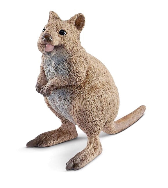 Schleich Wild Life Quokka figurine for play time and recommended ages 3-8 years