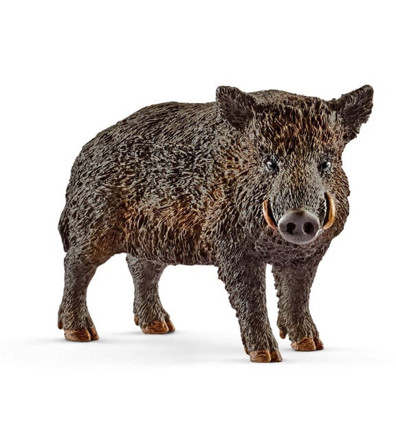 Schleich Wild - Wild Boar