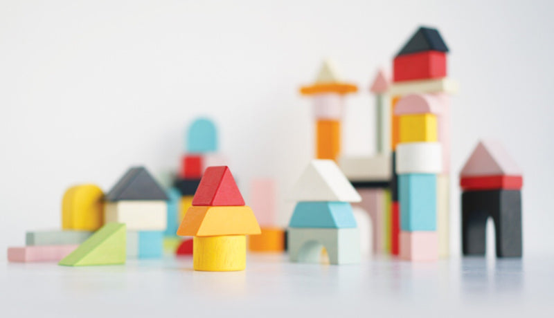 Le Toy Van - Building Blocks & Bag