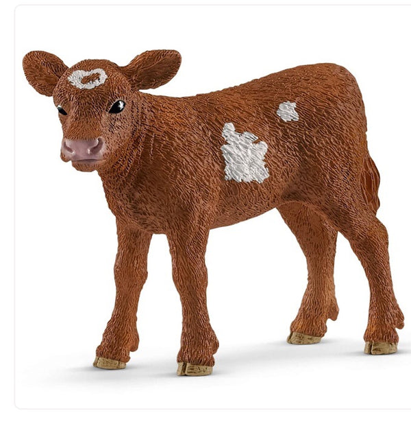 The Texas Longhorn calves are very popular with farmers because of their peaceful nature. The calves are slimmer than calves of other breeds however they eventually catch up to weigh as much as other cattle when fully grown. Size height 5.5 cm,  length 7 cm , width 3 cm 