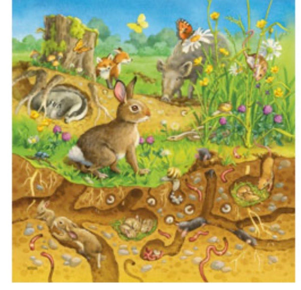 Ravensburger - Jigsaw Puzzle, 3 x49 Pieces, Animals in Their Habitats
