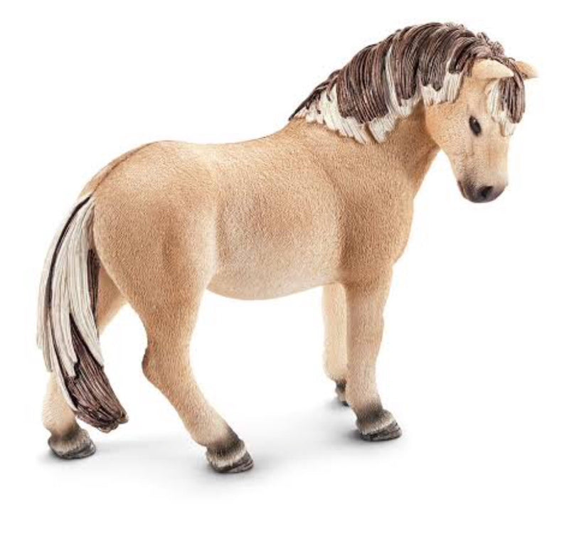 Schleich Fjord Horse is a striking coloured horse with a brown and cream mane & tail.  An excellent choice for any horse collection. Recommended age 5-12 years. 