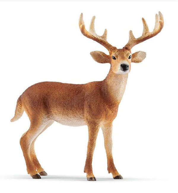 Schleich Wild Life  - White-Tailed Buck