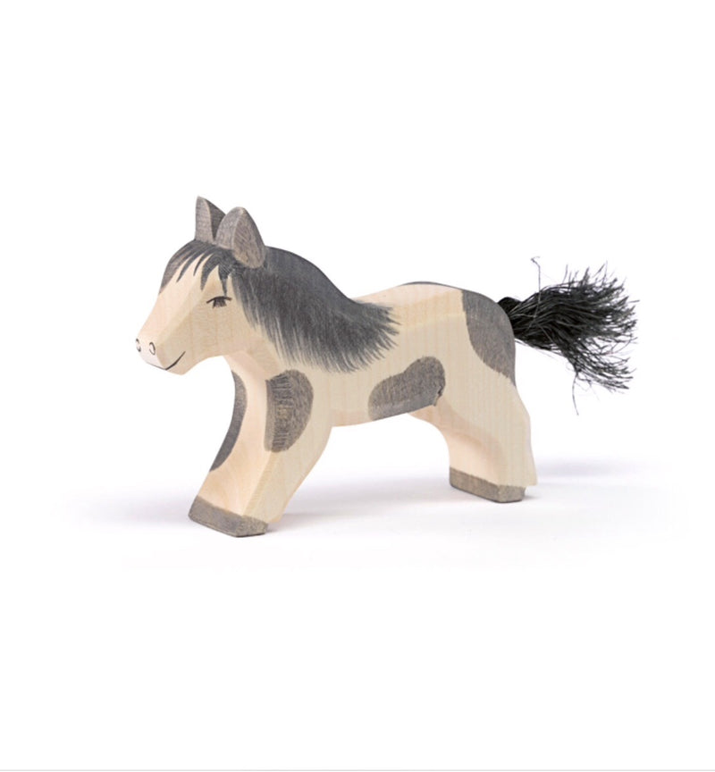 Ostheimer - Shetland Pony Running