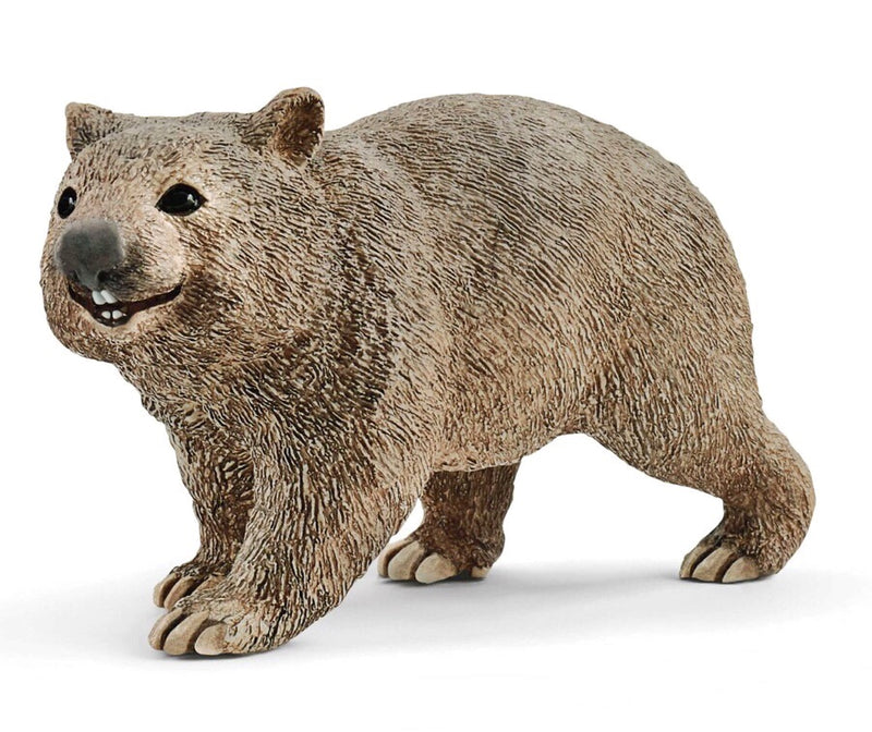 Wombats are small marsupials that live on the Australian continent. They are surprisingly fast for their body shape. When they are not grazing they live underground where they dig tunnels and burrows. They have rodent like teeth and wide paws with sickle-shaped claws. Size height 4 cm,  length 6 cm , width 2.5 cm 