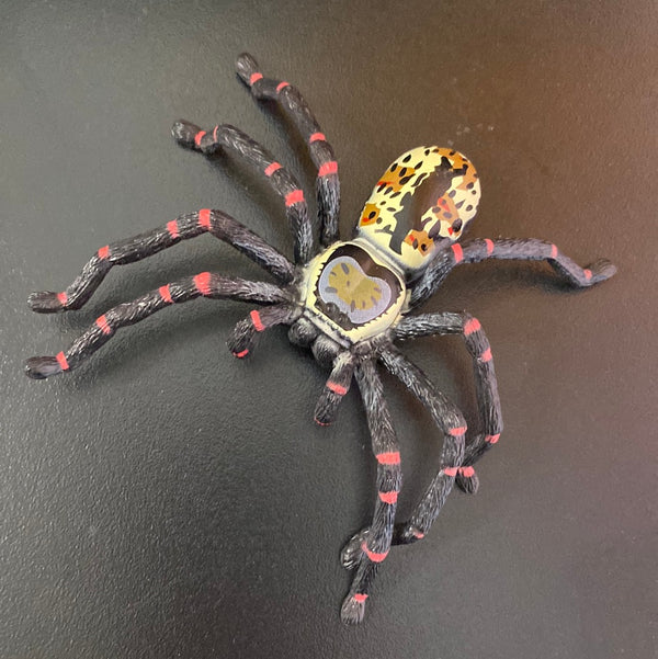 Spider - Huntsman