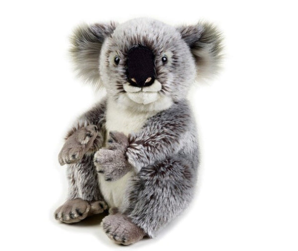 National Geographic - Soft toy Koala 25 cm