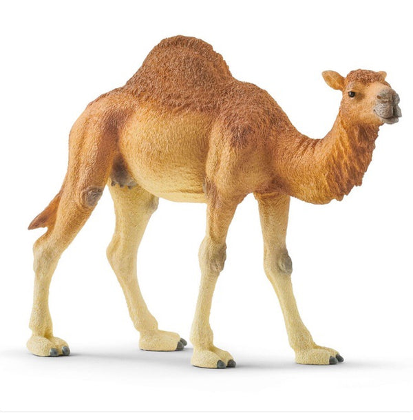 Schleich Wild Life -  Dromedary Camel