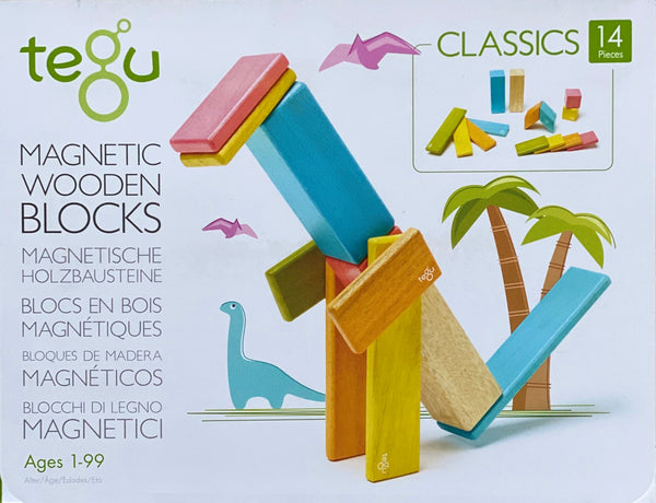 Tegu- Magnetic Wooden Blocks 14 piece