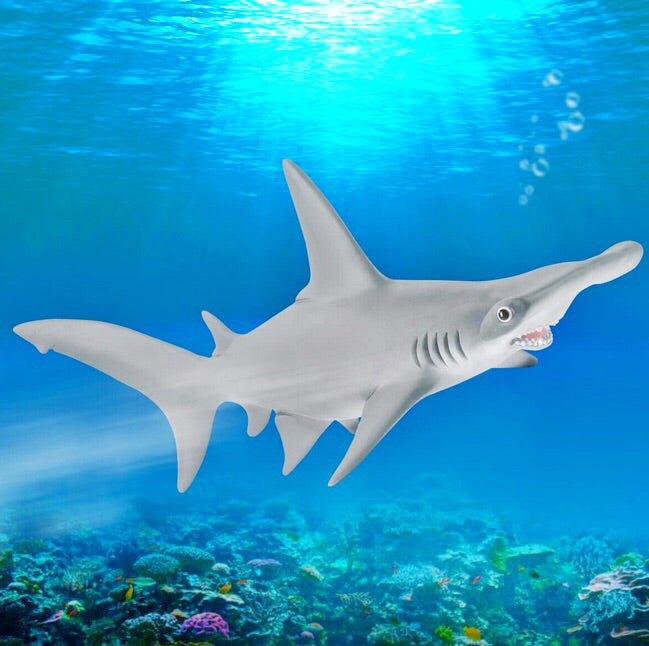 Schleich Wild Life Hammerhead Shark is a detailed replica for imaginative play. Recommended age 3-8 years.