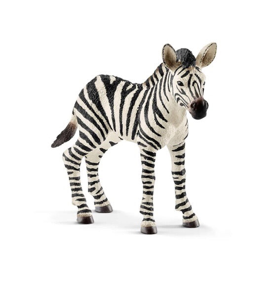 Schleich Wild Life - Zebra Foal