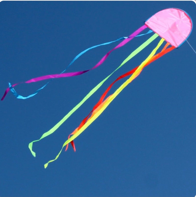 Windspeed Kites  - Jellyfish