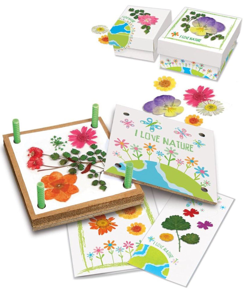 4M - Green Science, Pressed Flower Art