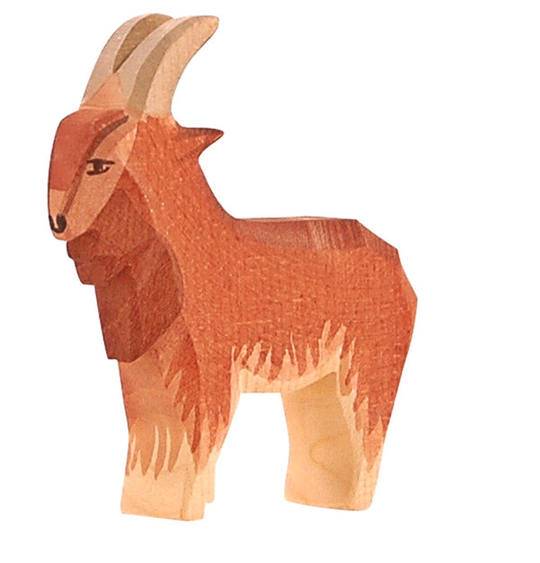Ostheimer - Goat Male